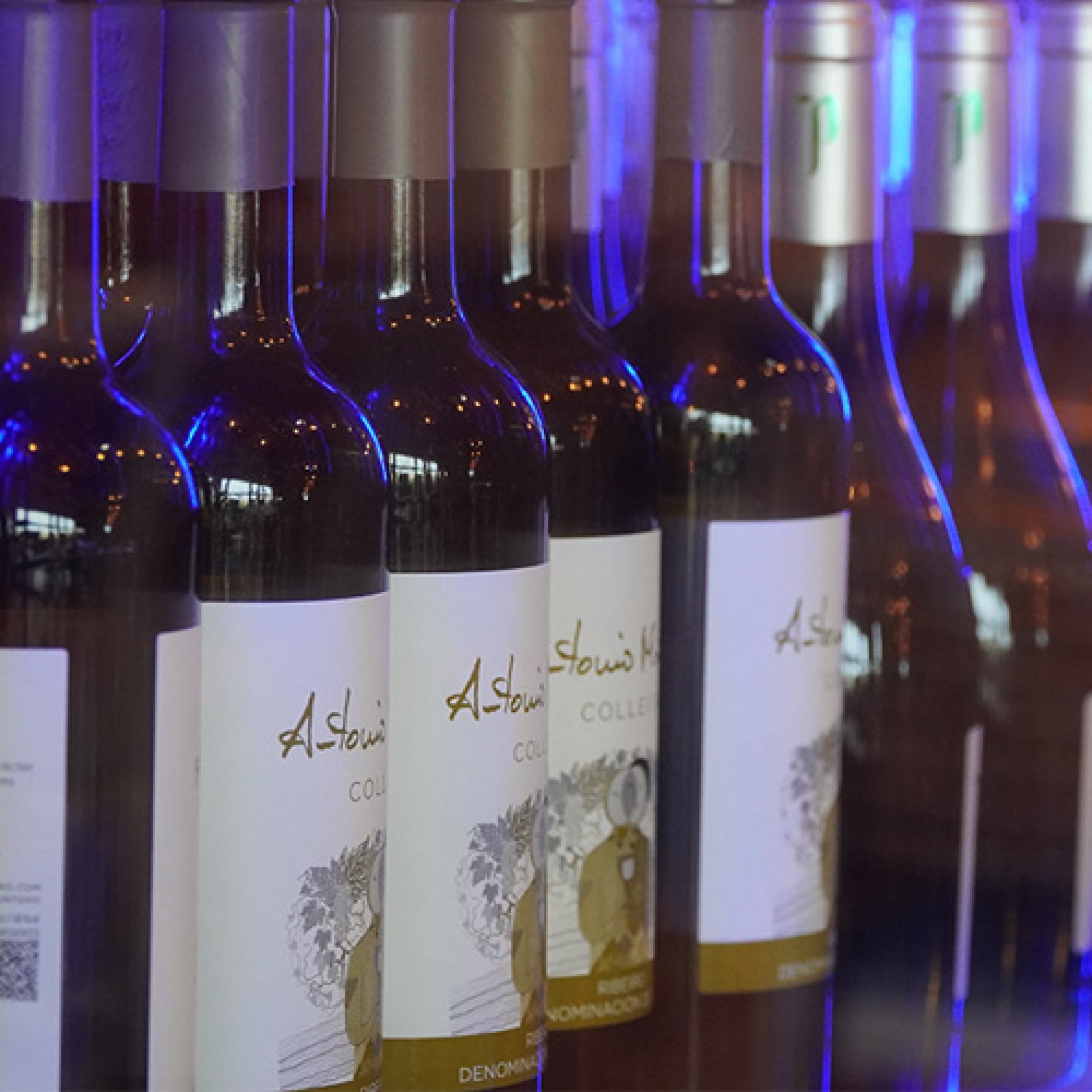 Imagen Bodega